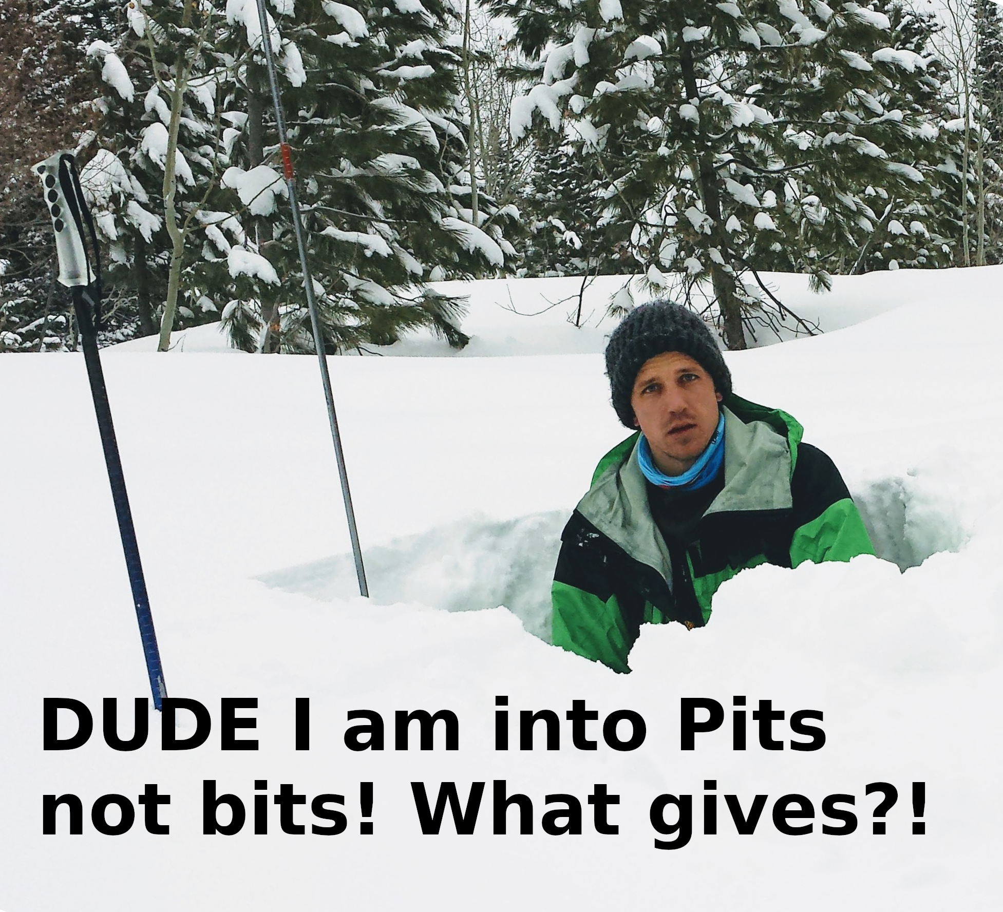 pits not bits