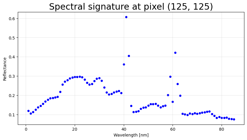 <Figure size 1000x500 with 1 Axes>
